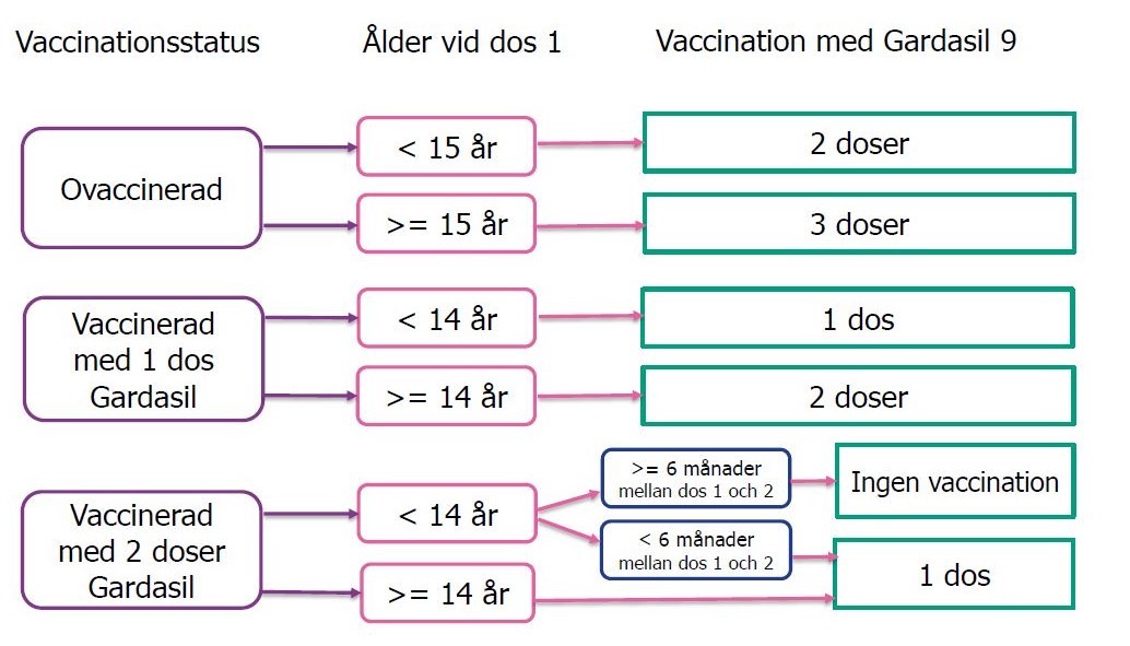Vägledning för HPV-vaccination vid vaccinbyte  