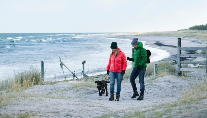 En man och en kvinna promenerar längs med en strand tillsammans med en mellanstor hund.
