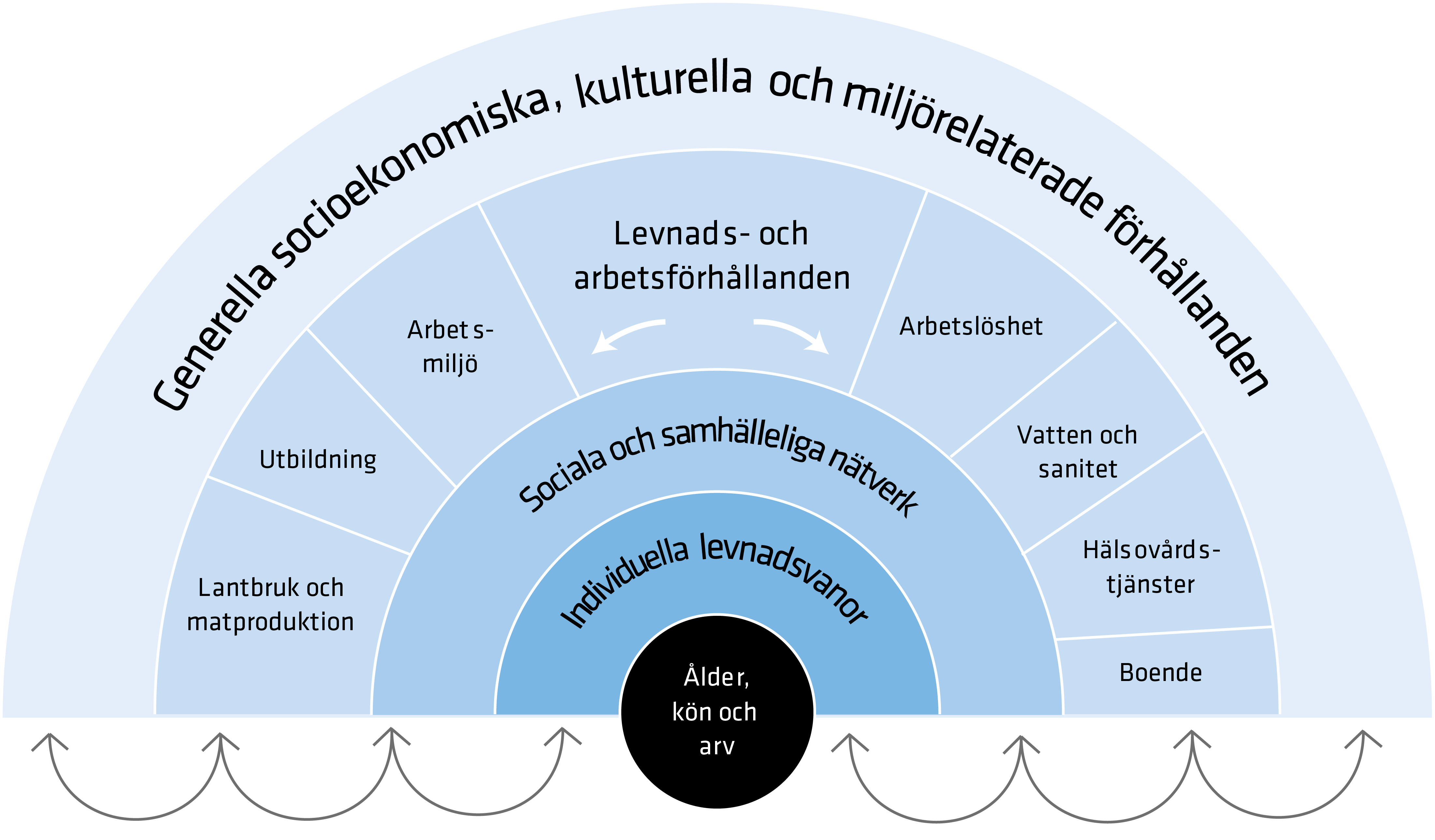 Schematisk bild över hälsans bestämningsfaktorer