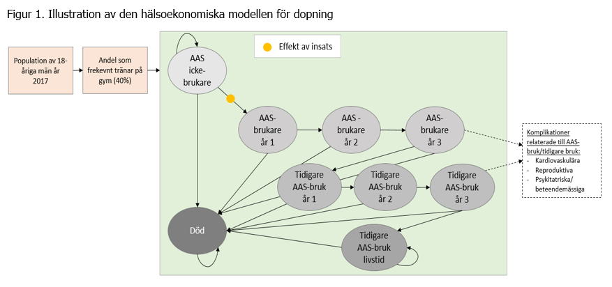 Figur 1. Illustration av den hälsoekonomiska modellen för dopning