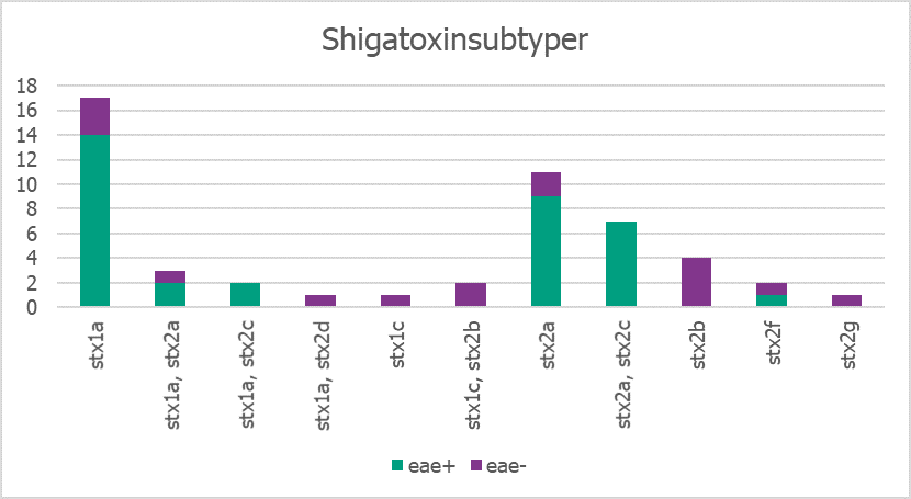 Stapeldiagram som visar Fördelning av shigatoxinsubtyper och eae för inkomna isolat under perioden 1 april till 30 juni 2021 (n= 51)