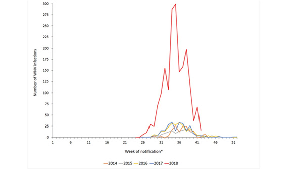 Antal rapporterade fall av WNF i Europa under 2018 fram till och med vecka 42