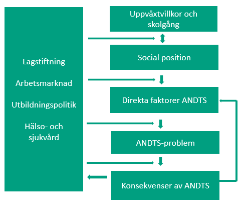 Figuren beskriver hur insatser på olika nivåer, till exempel genom lagstiftning, arbetsmarknad, utbildningspolitik och hälso- och sjukvård behöver riktas mot alla nivåer till höger i bild för att skapa förutsättningar för jämlik hälsa inom ANTS-området. Nivåerna till höger är uppväxtvillkor och skolgång, social position, direkta faktorer ants, ants-problem och konsekvenser av ants. 