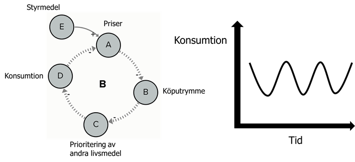 En balanserande feed-back loop och ett diagram med konsumtion på y-axel och tid på x-axel, sambandet är en sinusvåg.