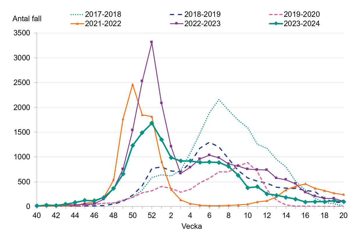 Under säsongen 23/24 rapporterades högst antal fall vecka 52. 