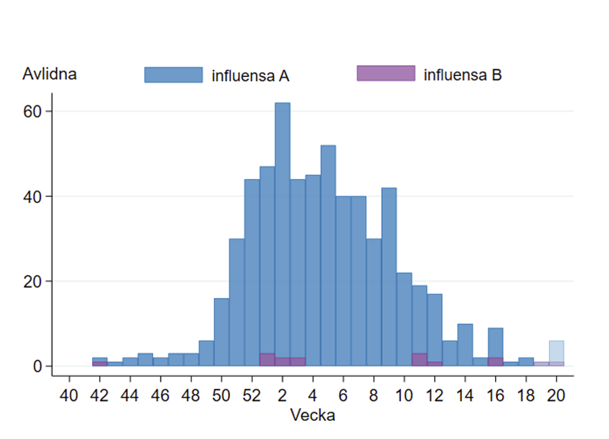 Enstaka dödsfall rapporterades vecka 42–48, därefter en ökning med topp vecka 2. Sedan dess minskande. 