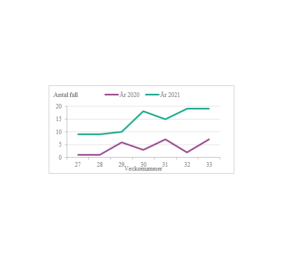Antalet anmälda fall i Sminet under vecka 27 till 33 år 2020 och 2021.