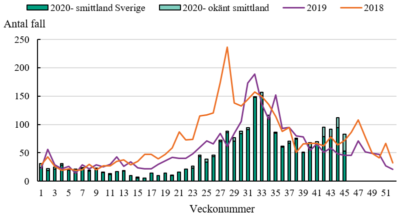 Figur 1. Antal inrapporterade fall med campylobacterinfektion per vecka under perioden 2018 till och med vecka 45 2020. För perioden 2018-2019 visas endast fall smittade i Sverige medan fallen från 2020 är uppdelade på smittade i Sverige (mörkt grönt) och okänt smittland (ljust grönt). Från vecka 10 2020 har det på grund av den pågående pandemin observerats en drastisk nedgång för antalet anmälningar av campylobacter och även många andra tarmpatogener vilket kan göra direkta jämförelser mellan år missvisande.