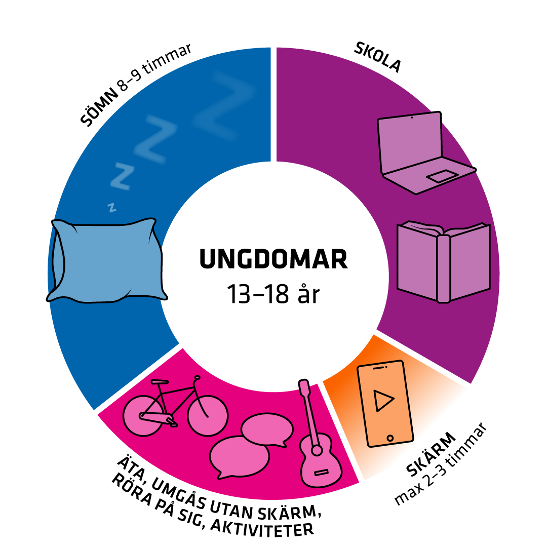 Illustration på ett dygnshjul med sömn 8-9 timmar och skärmtid 3 timmar.
