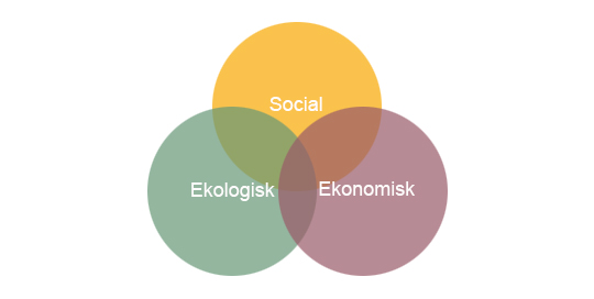 tre cirklar som beskriver social hållbarhet