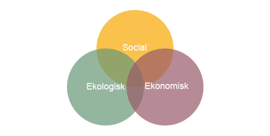 Tre ringar med orden Ekologisk, ekonomisk och social.
