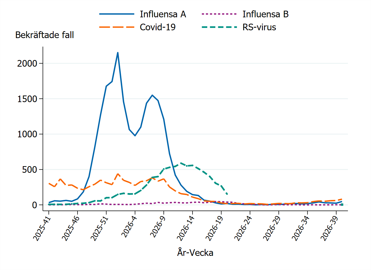 Vinterns influensa och RS-virustoppar syns i diagrammet. Antalet fall av RS-virus, covid-19 och influensa är på låg nivå vecka 40.