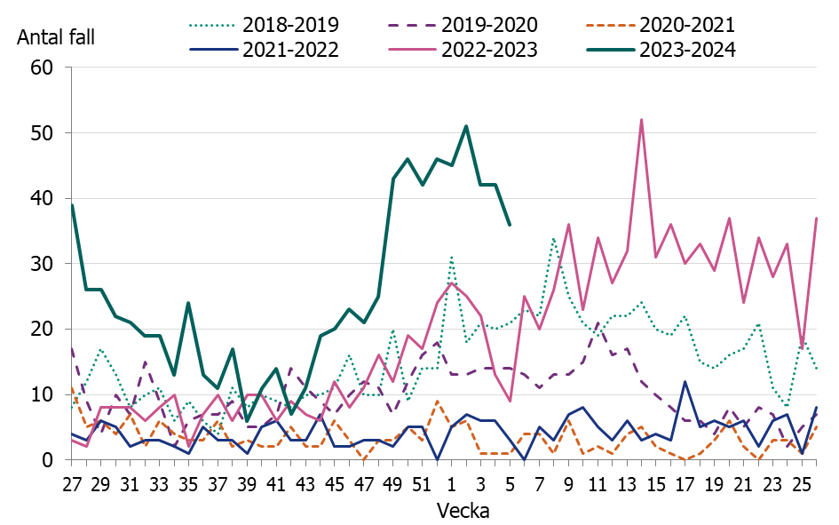 Figuren visar en tidig och kraftig &ouml;kning av iGAS fall i november och sedan december m&aring;nad har fallen legat p&aring; en konstant h&ouml;g niv&aring;.