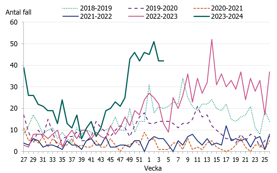 Figuren visar en tidig och kraftig &ouml;kning av iGAS fall i november och sedan december m&aring;nad har fallen legat p&aring; en konstant h&ouml;g niv&aring;.