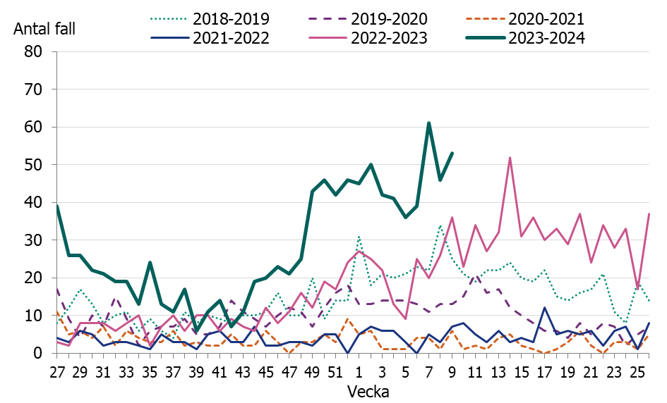 Linjediagrammet visar en tidig och kraftig &ouml;kning av iGAS fall i november och sedan december m&aring;nad har fallen legat p&aring; en konstant h&ouml;g niv&aring;.
