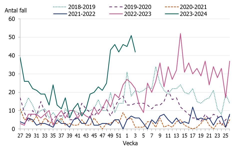 Linjediagrammet visar en tidig och kraftig ökning av iGAS fall i november och sedan december månad har fallen legat på en konstant hög nivå.