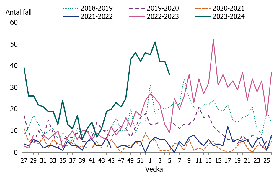 Figuren visar en tidig och kraftig ökning av iGAS fall i november och sedan december månad har fallen legat på en konstant hög nivå.