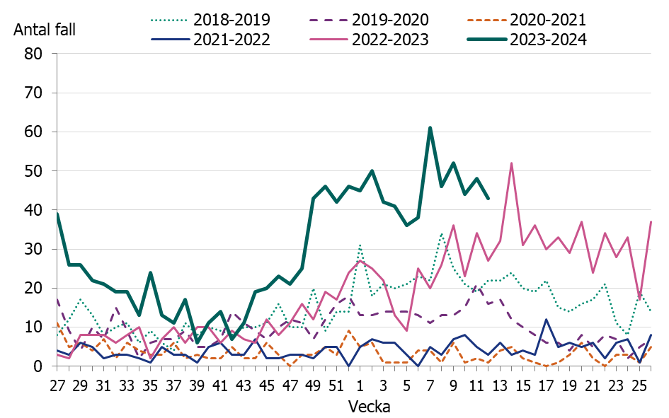 Linjediagrammet visar en tidig och kraftig ökning av iGAS fall i november och sedan december månad har fallen legat på en konstant hög nivå.