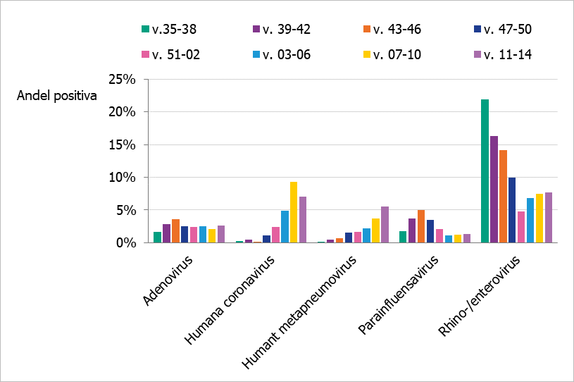 Analyserna visar högst andel positiva för rhino och enterovirus under varje period. Humant metapneumovirus fortsätter att öka, medan humana coronavirus minskar.