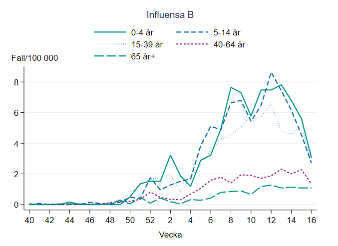 Högst incidens för influensa B ses bland barn 0-4 år. Fallen i åldersgrupperna 0-4 år, 5-14 år och 15-39 år har minskat de senaste veckorna. Även åldersgruppen 40-64 år minskade under vecka 16, men inte lika kraftigt. 