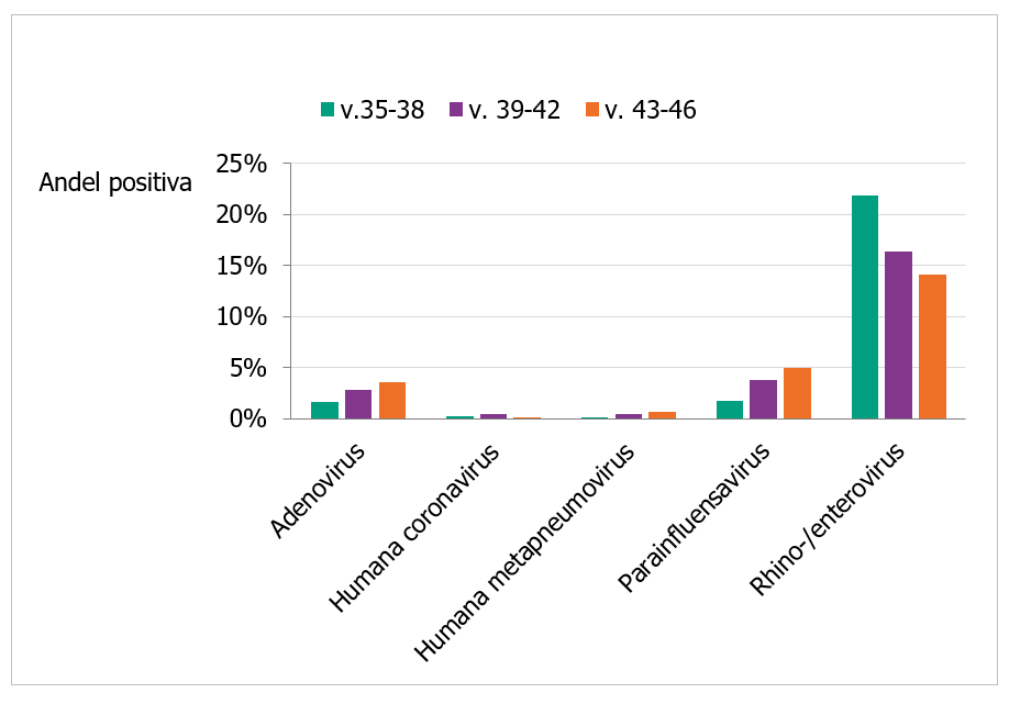 Diagram som visar högst förekomst av rhino/enterovirus, följt av parainfluensa och adenovirus.