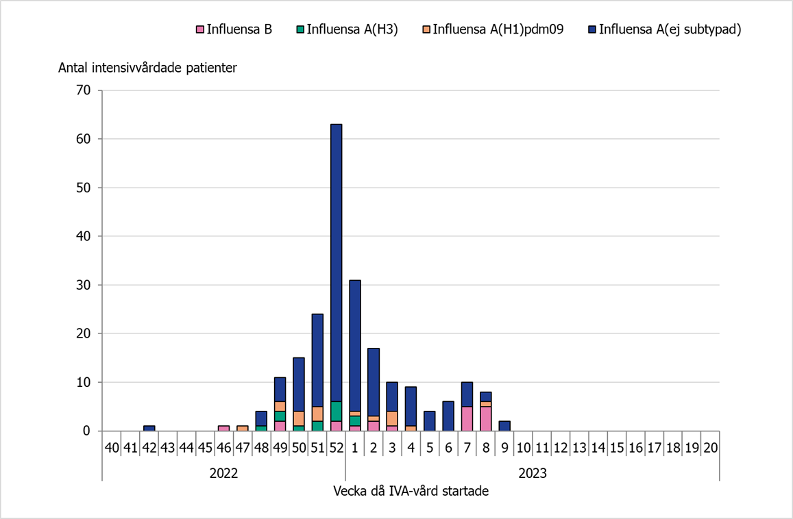 Högst antal intensivvårade syns vecka 52 då 60 patienter lades in. Majoriteten av alla IVA fall är influensa A utan subtypning. Senaste veckorna har antalet intensivvårdade med influensa varit fler.