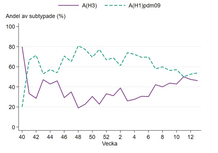 Andelen H1 har varierat mellan cirka 55 och 80 % sedan vecka 46. Andelen H3 har varierat mellan cirka 20 och 45 % under samma period.