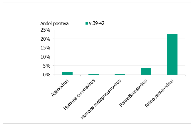 Högst andel positiva ses för rhino- enterovirus. Övriga kategorier mycket lägre.