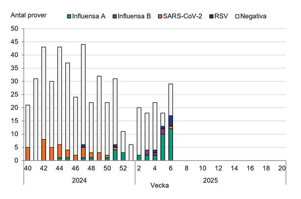 20-40 prover analyseras per vecka. SARS-CoV-2 mest förekommande till vecka 50, därefter mest influensa A. Många influensafall vecka 5 och 6. 