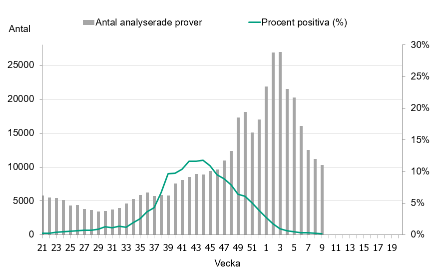 Linjediagrammet visar högst andel positiva prover vecka 42-44, cirka 12 %. Minskning varje vecka sedan dess. Högst provtagning vecka 2 och 3 med nästan 27 000 prover.