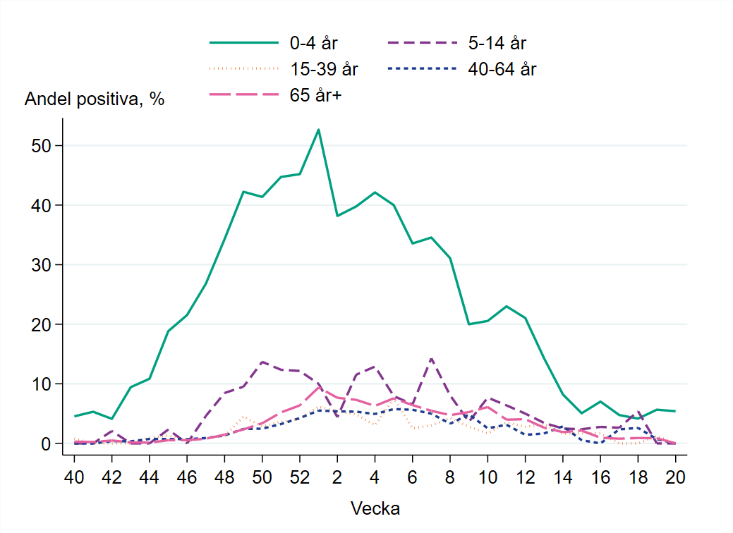 Högst andel positiva prover under säsongen finns bland barn 0-4 år, som högst >50%. Nu lågt i alla åldersgrupper.